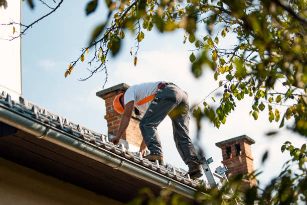 Best Roof Replacement Cost  in Daniels, WV