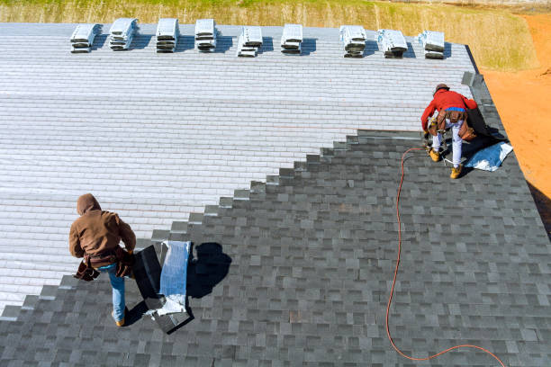 Best Storm Damage Roof Repair  in Daniels, WV