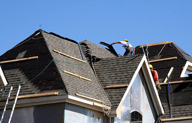 Best Roof Repair Specialists  in Daniels, WV