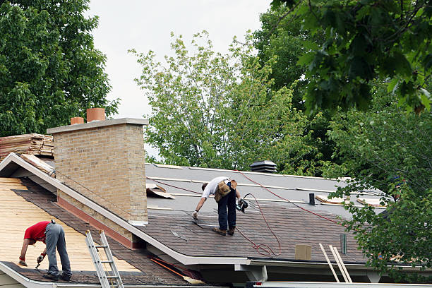 Best Local Roofing Companies  in Daniels, WV