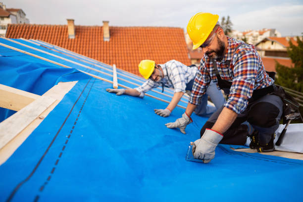 Best Residential Roofing Contractor  in Daniels, WV