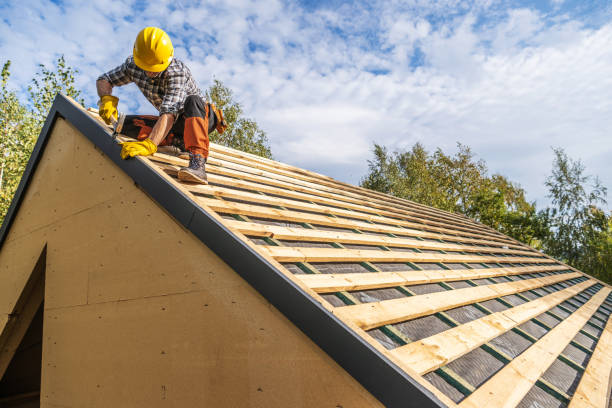 Best Roof Maintenance Services  in Daniels, WV