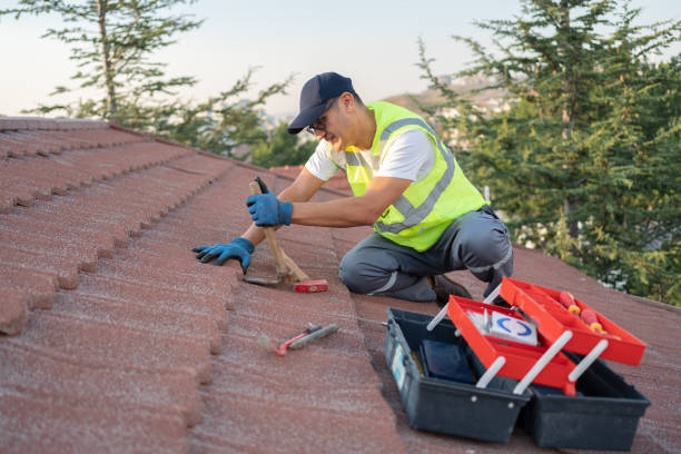 Best Roof Repair Services  in Daniels, WV