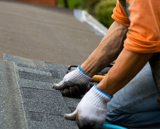 Best Roofing Contractor Near Me  in Daniels, WV