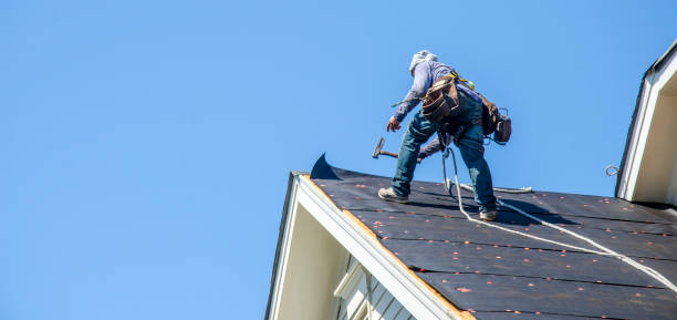 Best New Roof Installation  in Daniels, WV